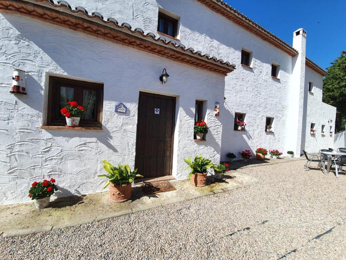 La Luna Del Sur B&B Alfacar Kültér fotó